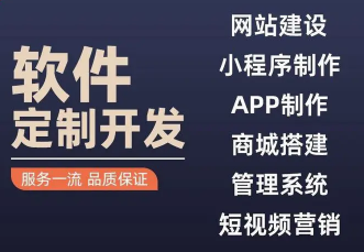 软件定制服务、网站系统开发、APP开发
